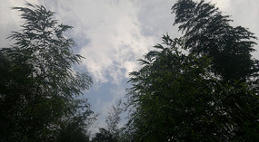 Baizhuyuan Mint & Dajing Adventure