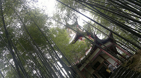 Baizhuyuan Mint & Dajing Adventure
