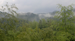 Baizhuyuan Mint & Dajing Adventure