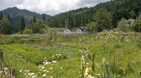 Baizhuyuan Mint & Dajing Adventure