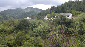 Baizhuyuan Mint & Dajing Adventure