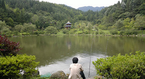 Baizhuyuan Mint & Dajing Adventure