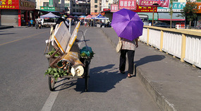 Longnan City Walk