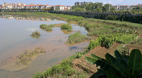 Longnan City Walk