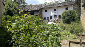 Guanxi New & Old Forts