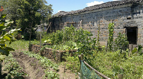 Guanxi New & Old Forts