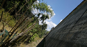 Guanxi New & Old Forts