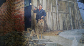 The Shaba Art & Rice Wine Forts