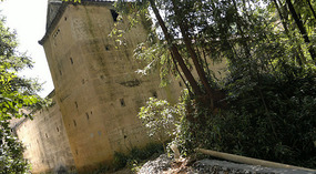 The Shaba Art & Rice Wine Forts