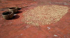 The Shaba Art & Rice Wine Forts
