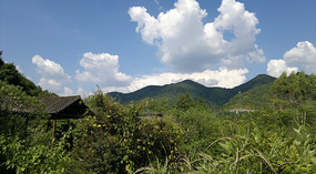 The Shaba Art & Rice Wine Forts