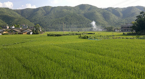 The Shaba Art & Rice Wine Forts