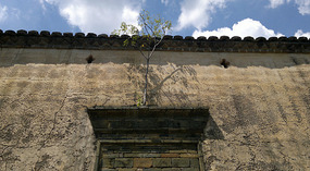The Shaba Art & Rice Wine Forts
