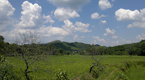 The Shaba Art & Rice Wine Forts