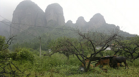 Wudang Shan & I Will Never Be Friends