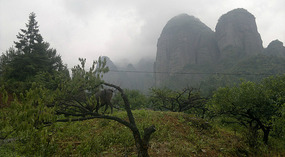 Wudang Shan & I Will Never Be Friends