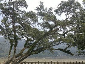 Baimiao Feilai & Feixia Temples Adventure