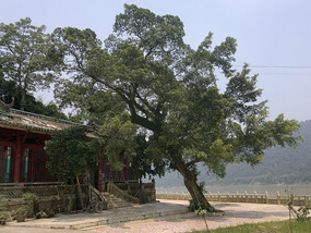 Baimiao Feilai & Feixia Temples Adventure