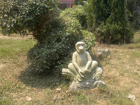 Baimiao Feilai & Feixia Temples Adventure