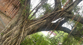 Xiangangcun  Bagua Village Adventure