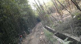 Baimiao Walking Home Adventure