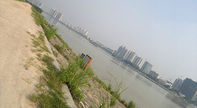 Baimiao Walking Home Adventure