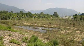 Baimiao Walking Home Adventure