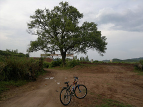 Diaozhong to Xiangtun Link Adventures
