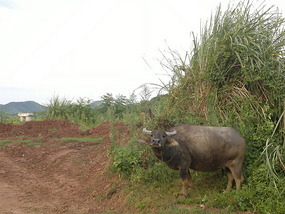 Diaozhong to Xiangtun Link Adventures