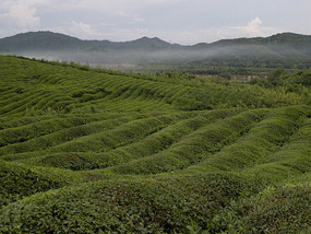 Diaozhong to Xiangtun Link Adventures