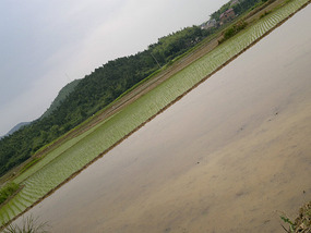 Diaozhong to Xiangtun Link Adventures