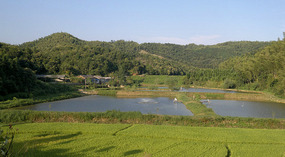 Diaozhong to Xiangtun Link Adventures