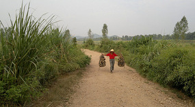 Diaozhong to Xiangtun Link Adventures