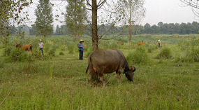 Diaozhong to Xiangtun Link Adventures