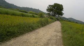 Diaozhong to Xiangtun Link Adventures