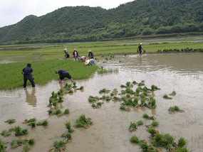 Diaozhong to Xiangtun Link Adventures