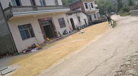 Mid Autumn Festival & The Grains of Time