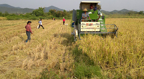 Mid Autumn Festival & The Grains of Time