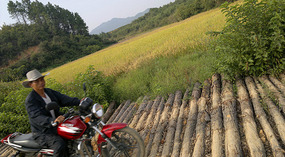 Mid Autumn Festival & The Grains of Time