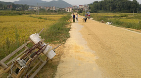 Mid Autumn Festival & The Grains of Time