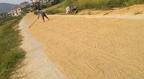 Mid Autumn Festival & The Grains of Time