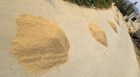 Mid Autumn Festival & The Grains of Time