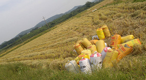 Mid Autumn Festival & The Grains of Time