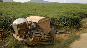 Mid Autumn Festival & The Grains of Time