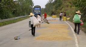 Mid Autumn Festival & The Grains of Time
