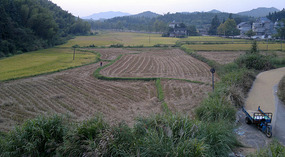 Mid Autumn Festival & The Grains of Time