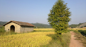 Hua Qiao & Monkey Adventures
