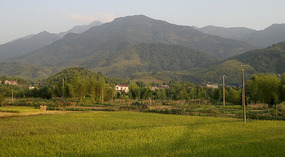 Hua Qiao & Monkey Adventures