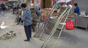 Hua Qiao & Monkey Adventures