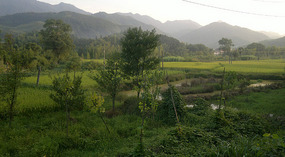 Hua Qiao & Monkey Adventures